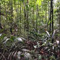 living in the world’s largest rainforest 