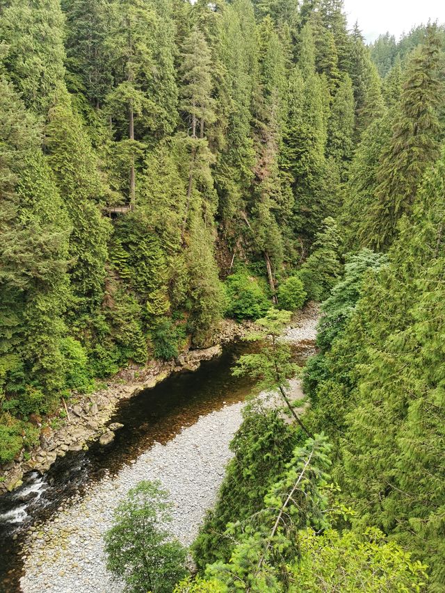 Capilano Suspension Bridge Park