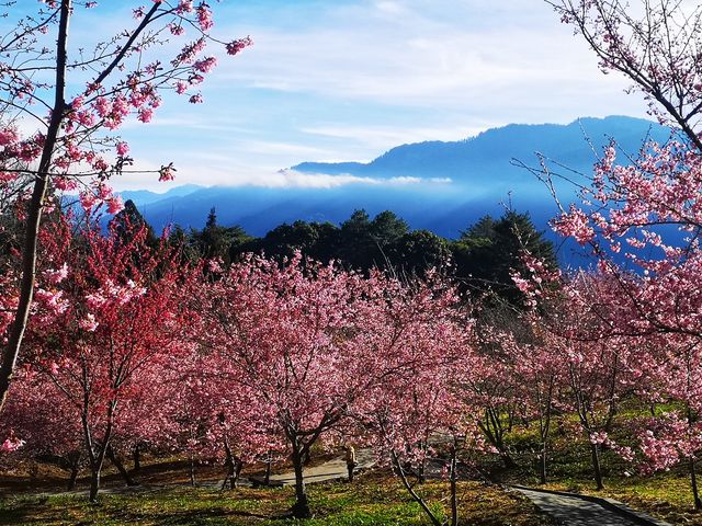 February at Fushoushan: Endless Scenery to Admire