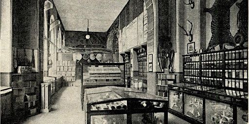 Zeynep Çelik, “Paper Beats Rock: The Imperial Institute’s Media” | e-flux