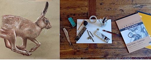 Mad March Hare - A Drawing Nature Workshop | Boiler House at the The Hidden Gardens - access is via Tramway or if Tramway is closed, via a lane on Pollokshaws Road, next to Scottish Ballet. Accessible venue.