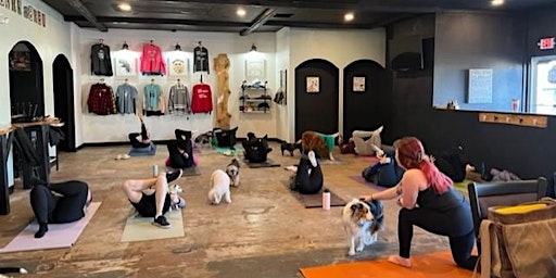 Yoga with your Dog | Bark & Brew