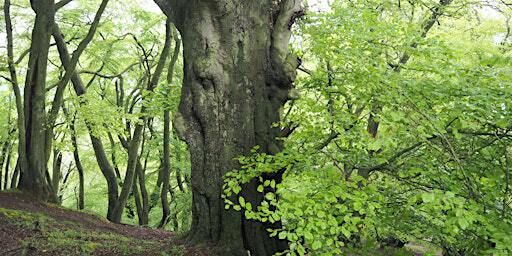 Autumn Challenge 2024 Walk 5 Right Round the Wrekin! 12.5 miles | Dale End Car Park