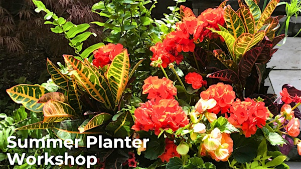 10" Summer Planter | The Floral Collective Inc., 335 Kerr Street, Oakville, ON, Canada