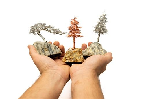 Wire Tree Art Class at New England Bonsai Gardens | New England Bonsai Gardens
