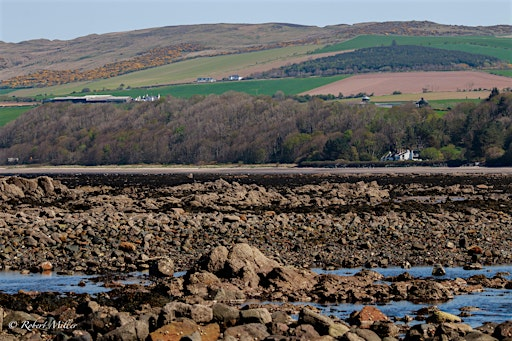 Rockpool Ramble | Culzean Castle and Country Park