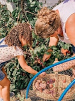 Where Does My Food Come From? | Hen Corner
