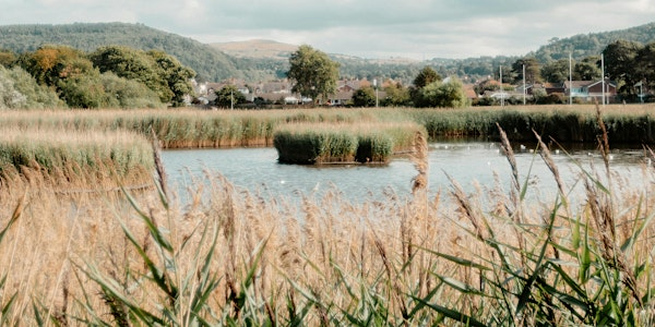 Lunchtime Talk - Wildlife Corridors | Robinswood Hill Country Park