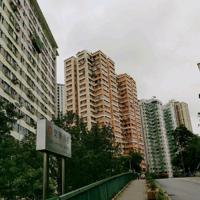 打卡遊～樂華南邨停車場天台