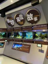 挪亞方舟公園｜親子歡樂時光