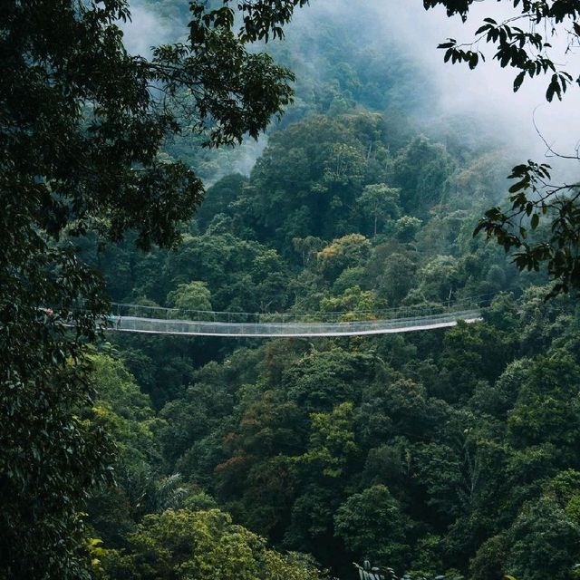 Situ Gunung Suspension Bridge