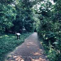 Fort Canning Park - Singapore