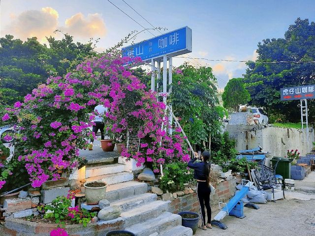 【基隆】海景咖啡廳|聚餐推薦|後山海景咖啡