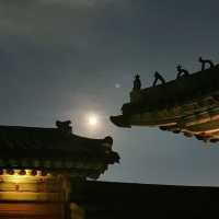 경복궁 야간개장