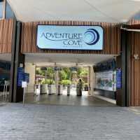 Adventure Cove Waterpark