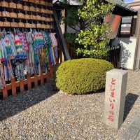 【京都】東丸神社（あずままろ）⛩