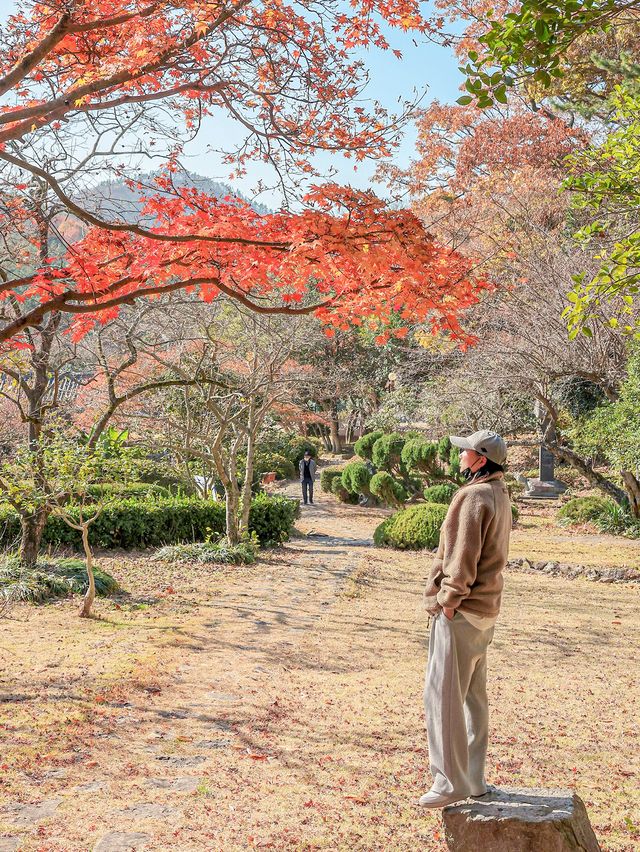 아름다운 연못이 있는 운림산방❣️
