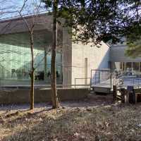 【マストで行きたい！】箱根のポーラ美術館がオシャレすぎた