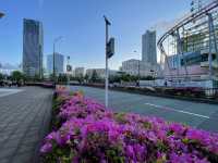 お花好きにはたまらない！横浜フラワー散歩！