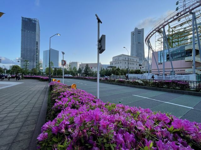 お花好きにはたまらない！横浜フラワー散歩！
