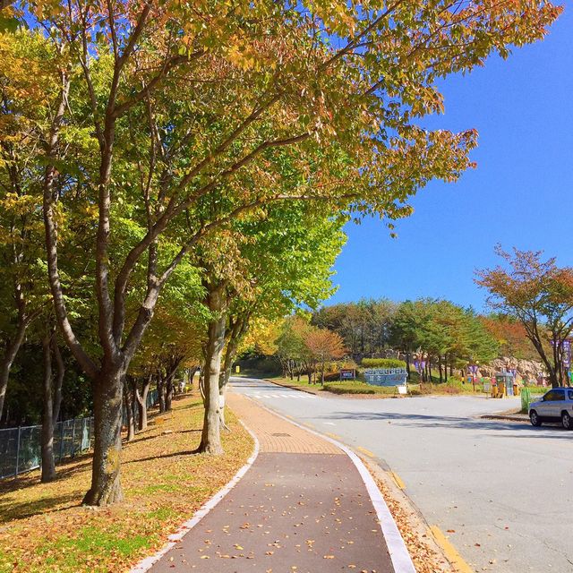 5월 봄나들이 가기 좋은 곳 경주 보문관광단지 