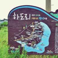 🏄 해수욕도 좋고~ 서핑도 좋고~ 하도해수욕장