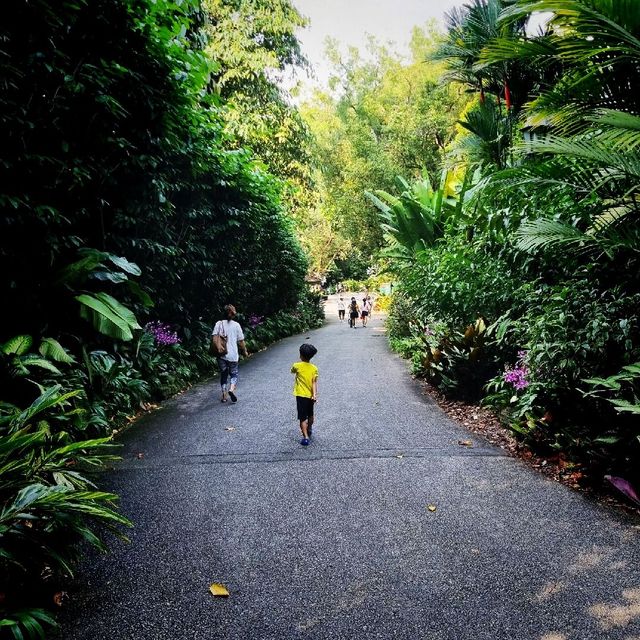 National Orchid Garden, a UNESCO Heritage