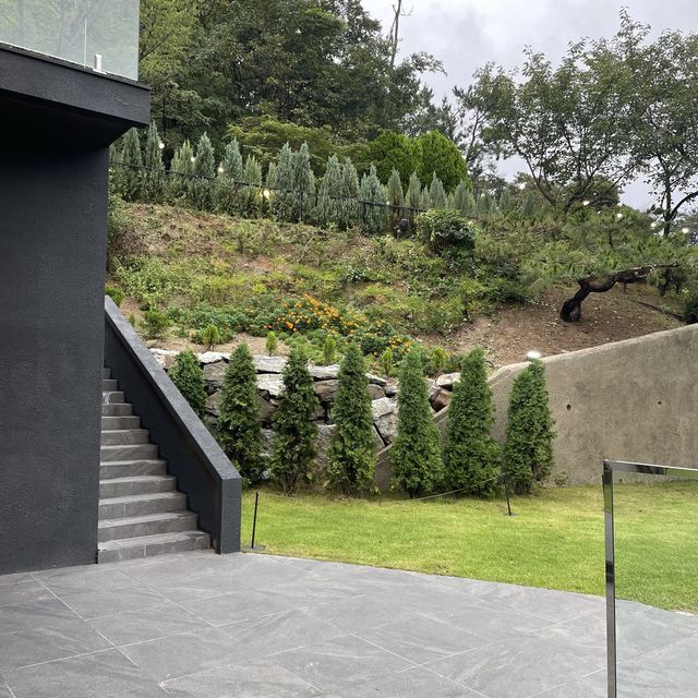 갤러리를 방불케하는 울산 레스토랑 부조화숲 🌳