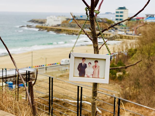 [속초][고성]시크릿블루베이커리카페- 사이코지만 괜찮아📸