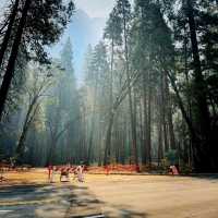 One Of The Top 10 Hiking Spots In US