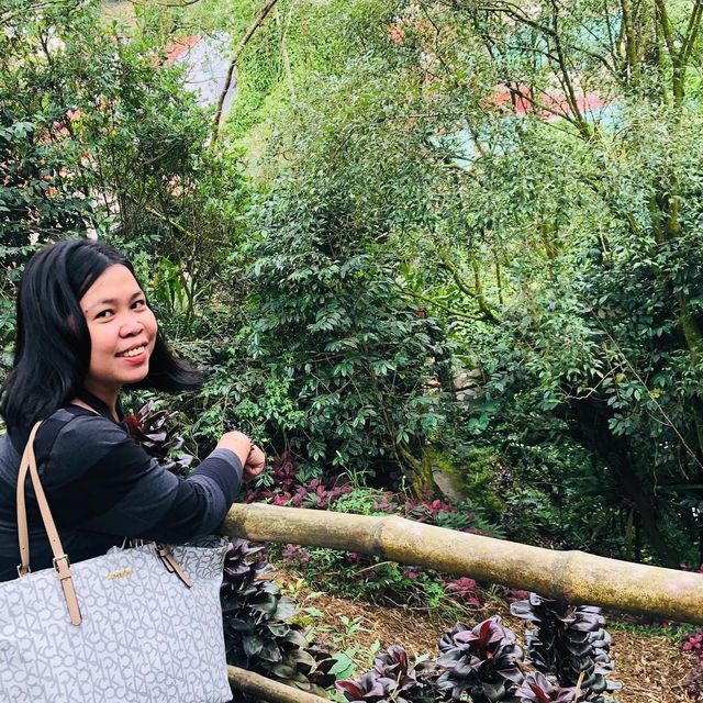 the Tam-awan Village