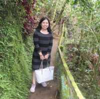 the Tam-awan Village