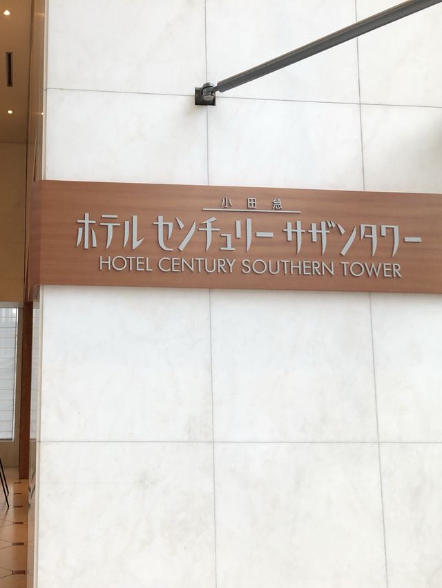 【東京】東京を上空から眺めながらヌン活