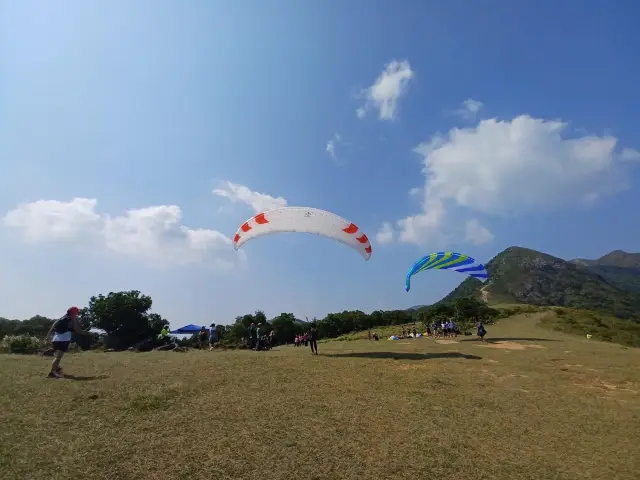 昂坪大草地觀看滑翔傘