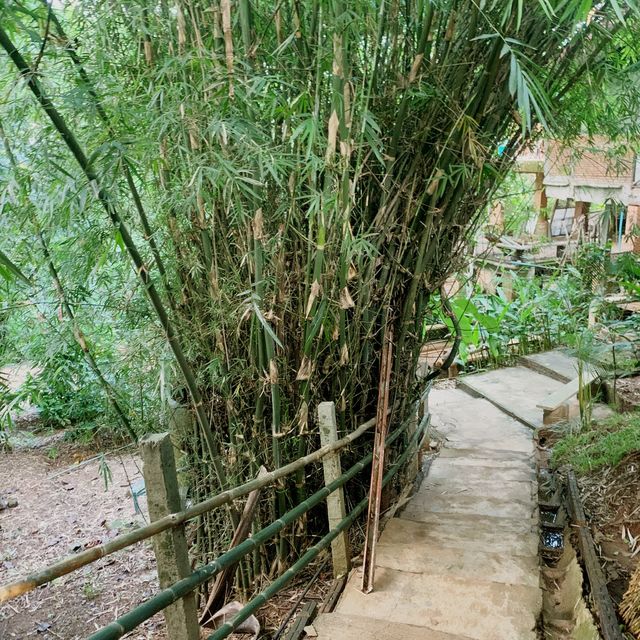 Long Neck Village in Chiang Rai