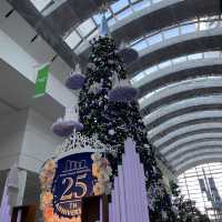 【横浜】クイーンズスクエア25thクリスマス