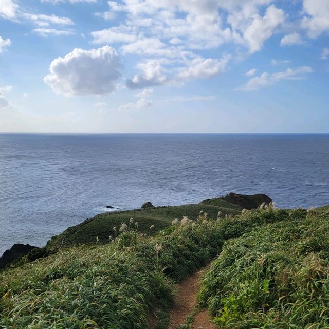 【奄美大島】宮古崎