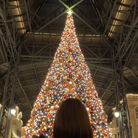 クリスマスカラーに彩られた東京ディズニーランド | Trip.com 浦安