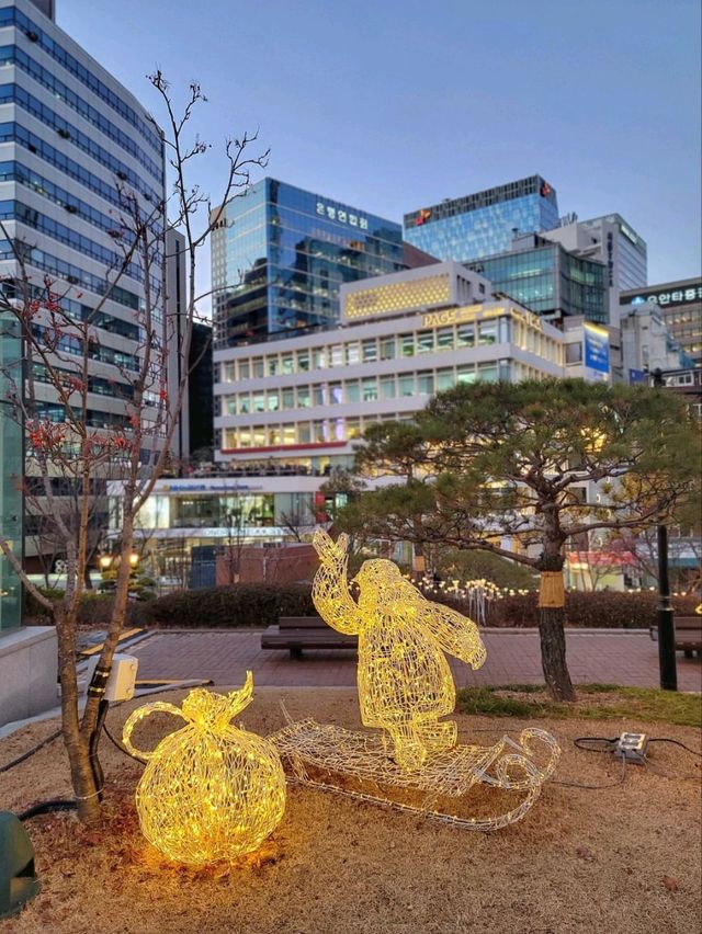 크리스마스 시즌엔 야경이 아름다운 명동성당으로⛪️