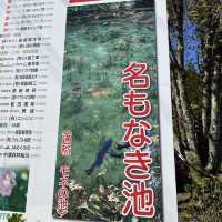モネの池🐠