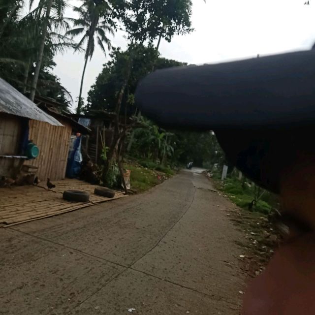province  lanao del sur