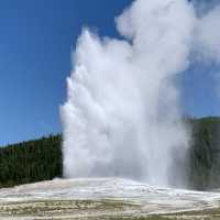 Yellowstone speaks for itself…just listen 💥