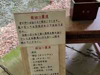 【島根】世界遺産？！五百羅漢