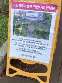 산책코스로 좋은 '광주박물관'