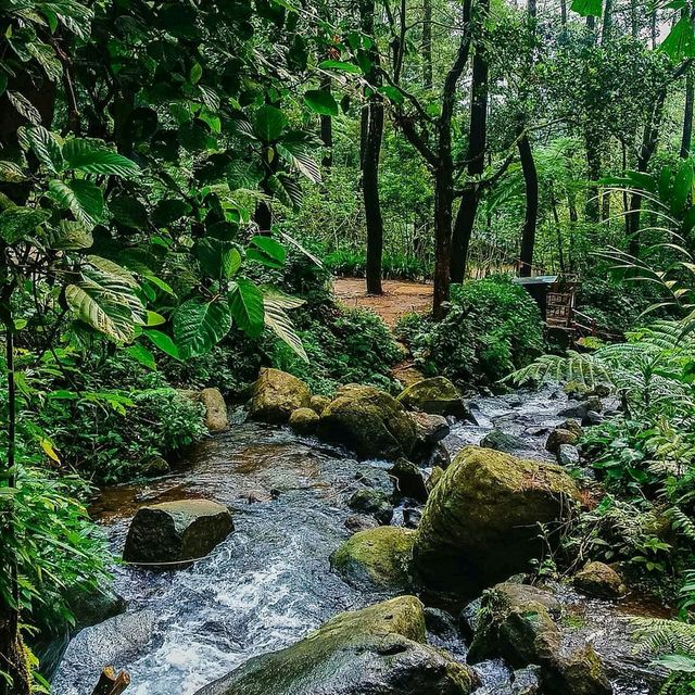 Cilember Waterfall