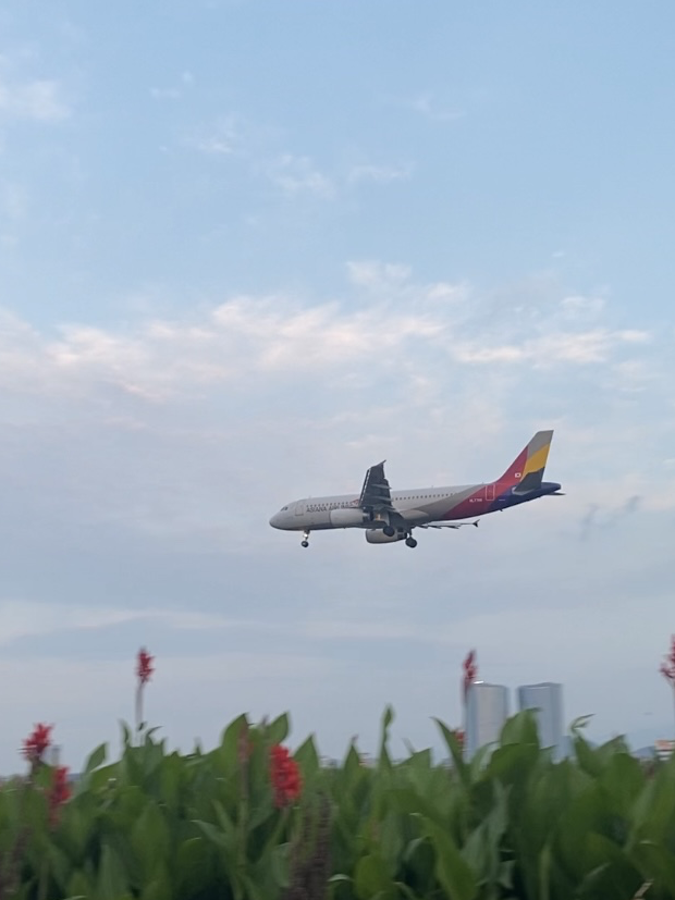 [제주] 머리 위로 비행기가 슝 ✈️, 카페 그라나다