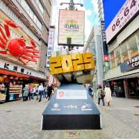 【大阪 道頓堀】大阪旅行ならココ！道頓堀のストリートをご紹介✨✨✨