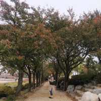 서울근교 가을여행지, 시흥으로 떠나요🌾🍂