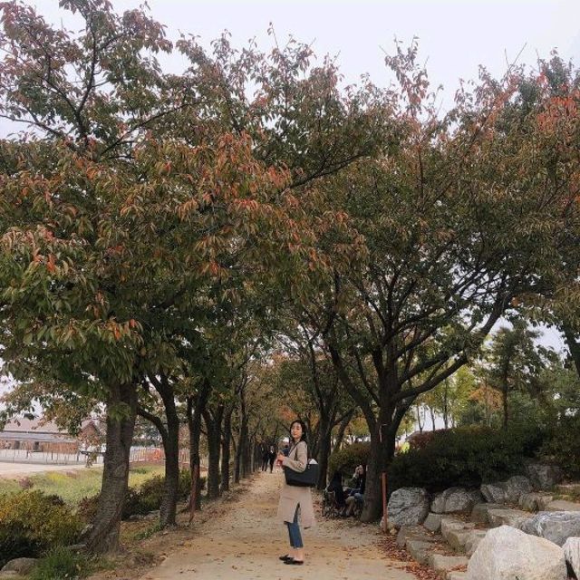 서울근교 가을여행지, 시흥으로 떠나요🌾🍂