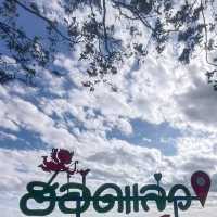 สายโสดต้องมา ผาสละโสด อุทยานแห่งชาติน้ำพอง